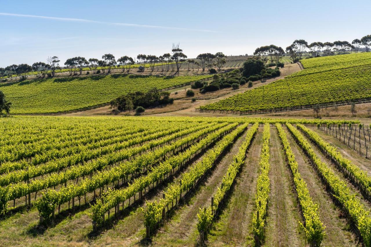 Hotel California Road At Inkwell Wines Mclaren Vale Exterior photo